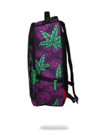 Queen Indica - image 4