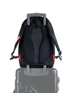Harriet Tubman $20 Backpack - image 5