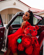 Veni Vidi Vici Moneybear Teddybear Backpack - image 2