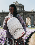 Money Pattern Powder Backpack (Dlxv) - image 2