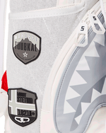 The Global Expedition Subzero Backpack - image 19